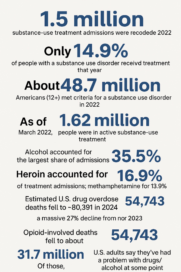 USA substance rehabilitation admission stats infographic
